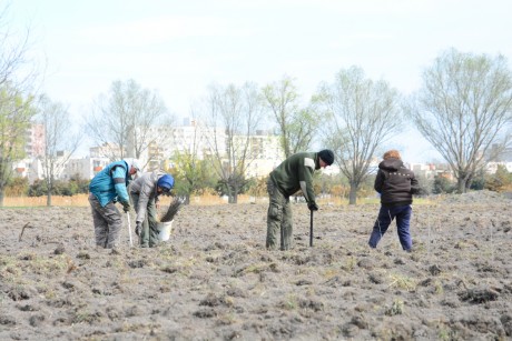 Városapplikáció, ősbemutató és új kórházigazgató - ez történt márciusban és áprilisban